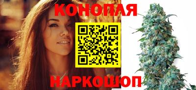 сатива Краснокаменск