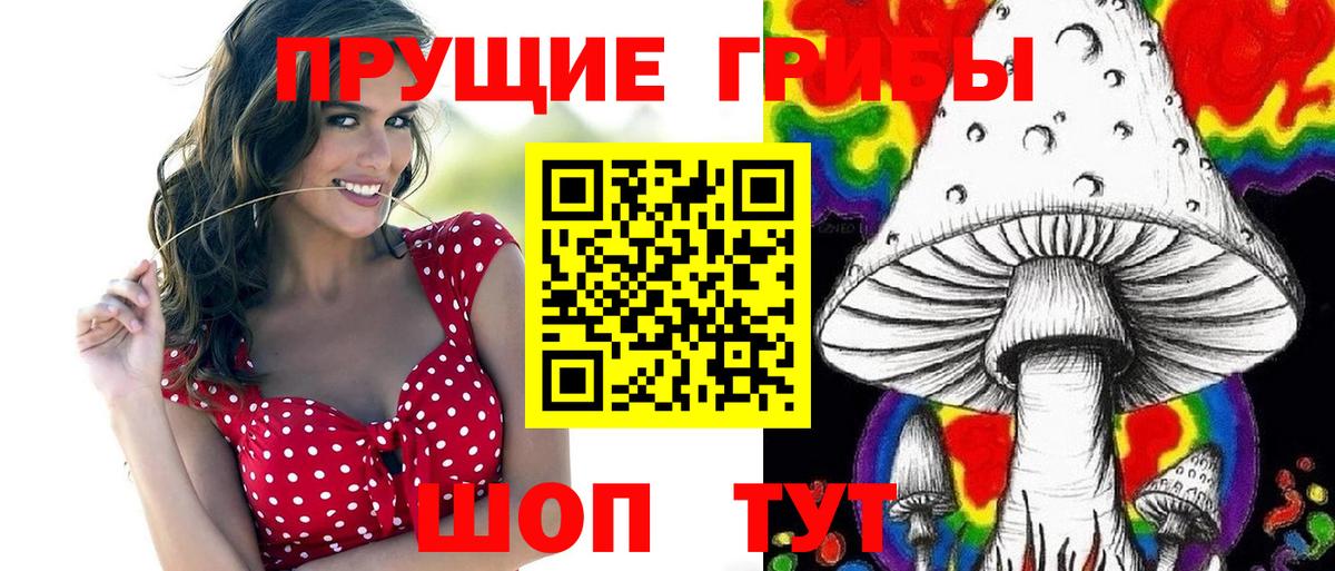 Псилоцибиновые грибы MAGIC MUSHROOMS  Вход с VPN  Кинель  Псилоцибиновые грибы Psilocybine cubensis 
