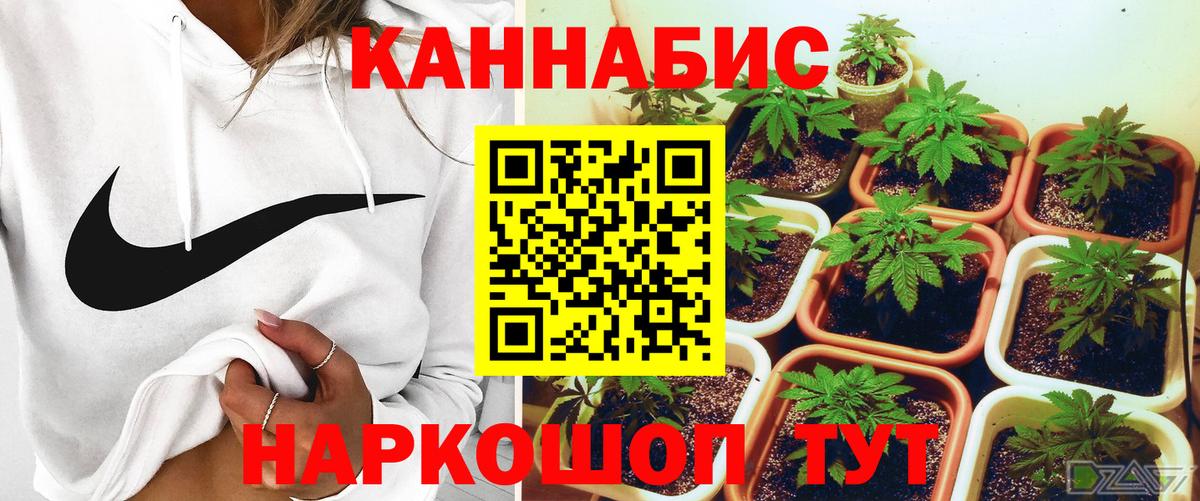 Кинель  Бошки Шишки Ganja  Шишки марихуана VHQ  Бошки марихуана индика  Канабис OG Kush  Вход с VPN 